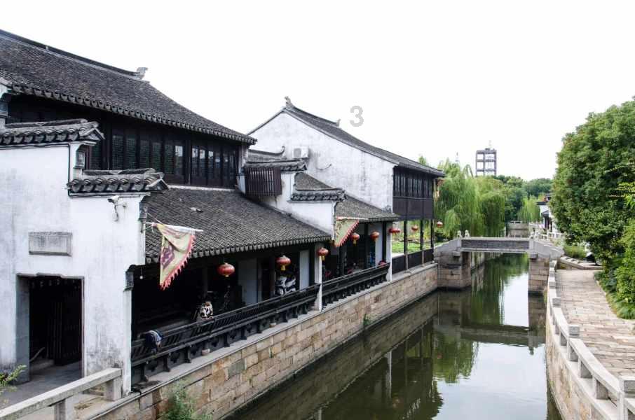 探索奇妙世界,畅享给狗起个名字叫什么好听呢蜗牛问答平台